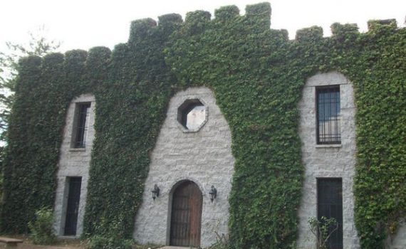 Ridge Rook Castle Tennessee